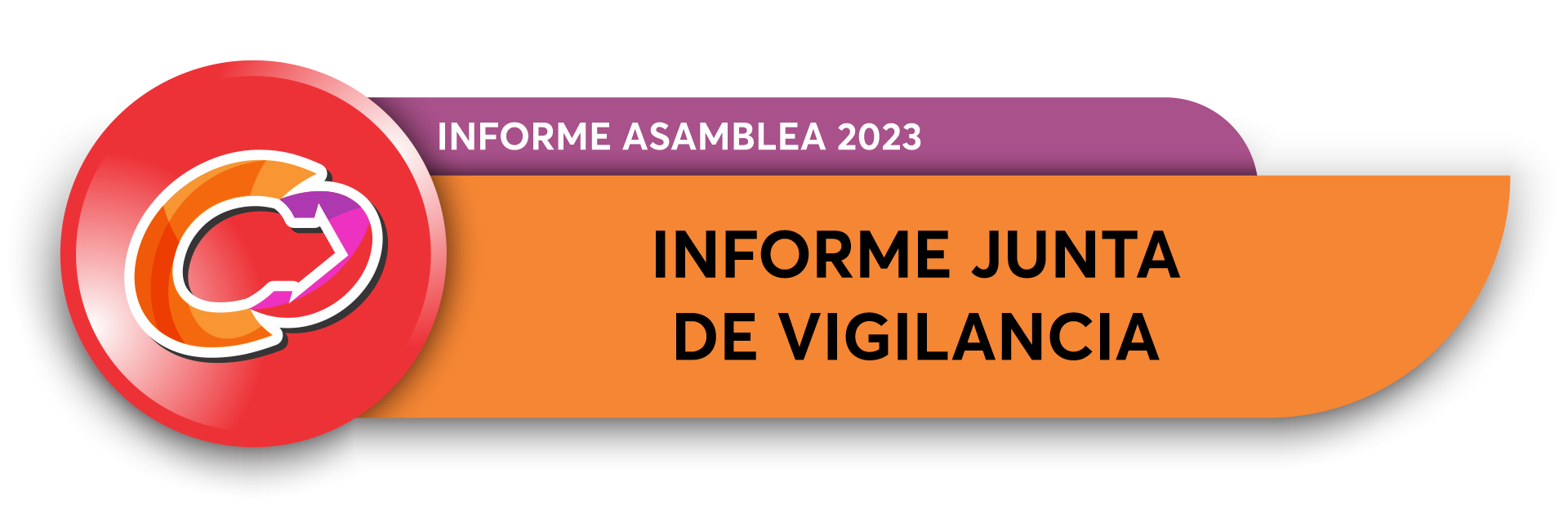 JUNTA DE VIGILANCIA