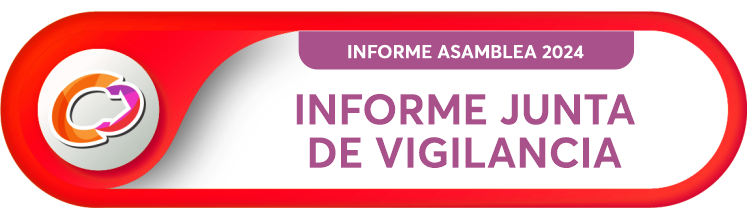 INFORME JTA DE VIGILANCIA 2024