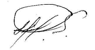firma humberto de jesus sanchez